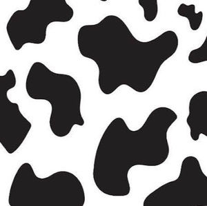 Meet your Posher, Kassidy